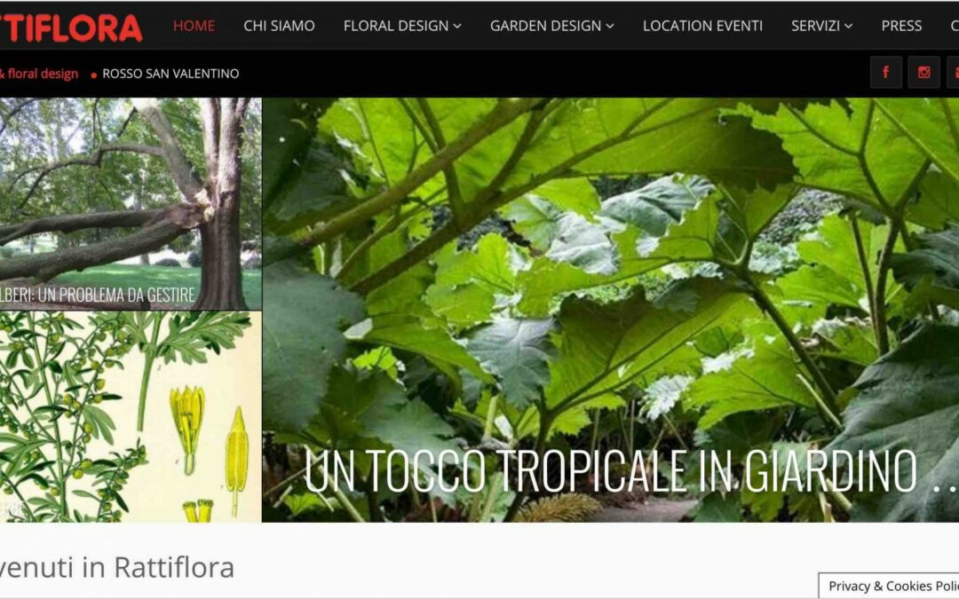 Rattiflora: nuovo sito, formazione SEO e Facebook