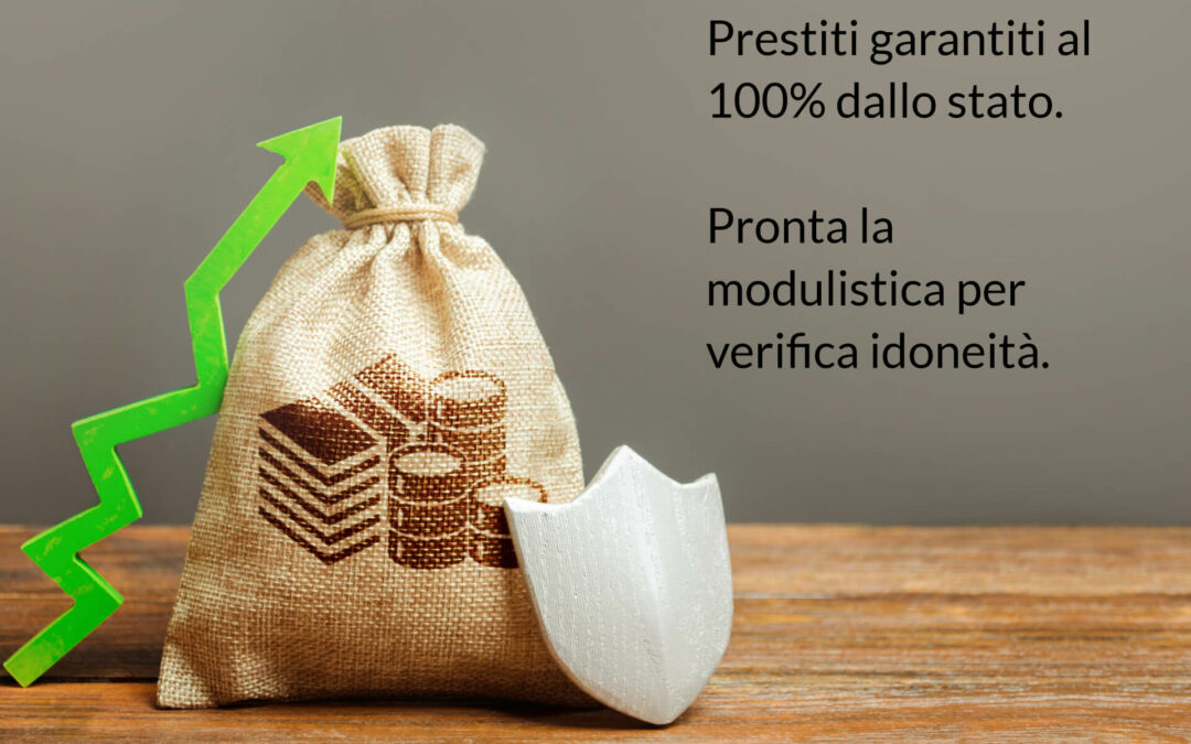 Prestiti garantiti dallo stato