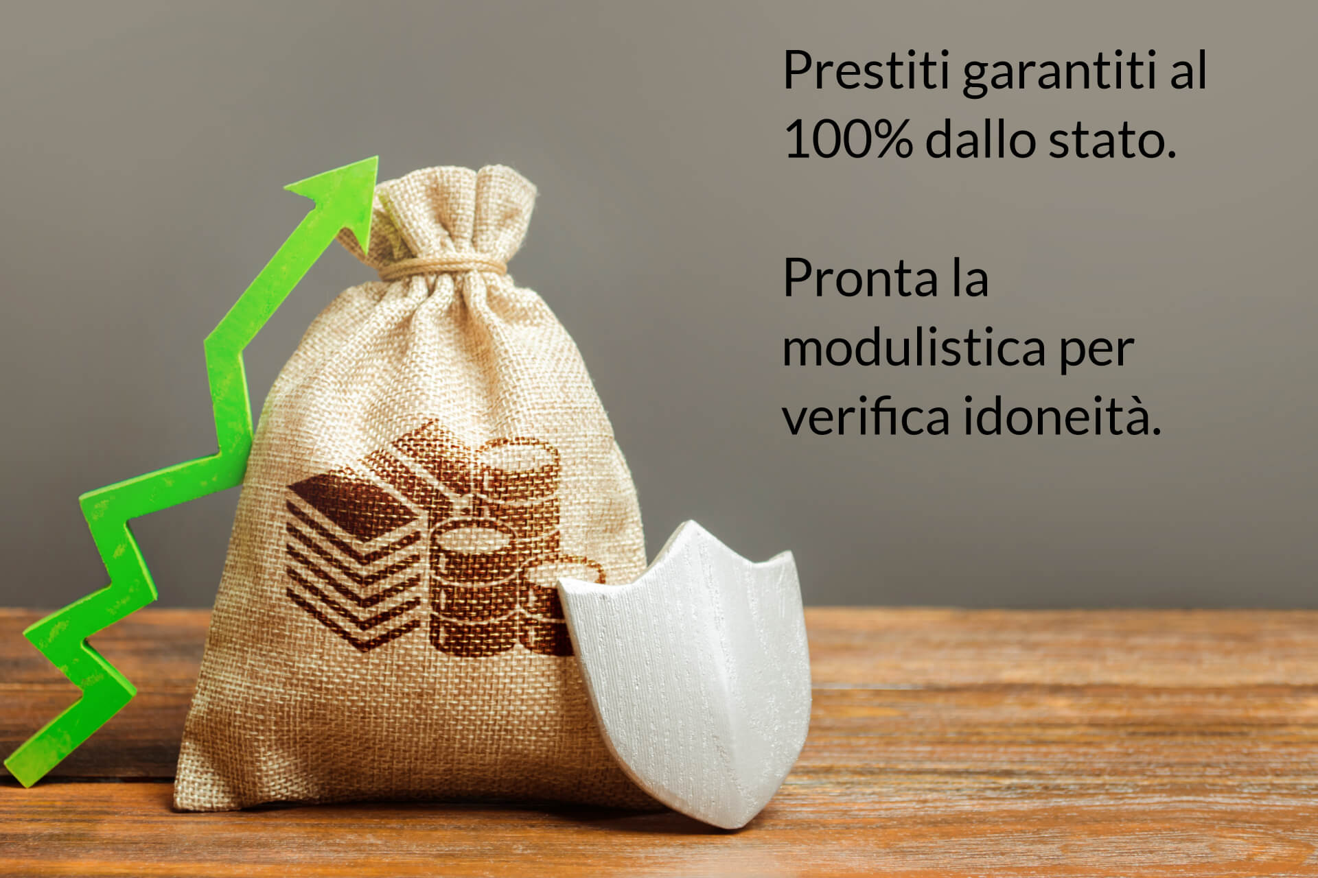Prestiti garantiti dallo stato